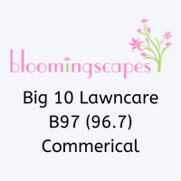 gallery/bloomingscapes logo
